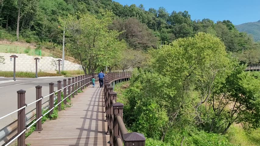 Wooden Boardwalk Trail in Green Park Under Clear Sky with Tree Shadows in Korea