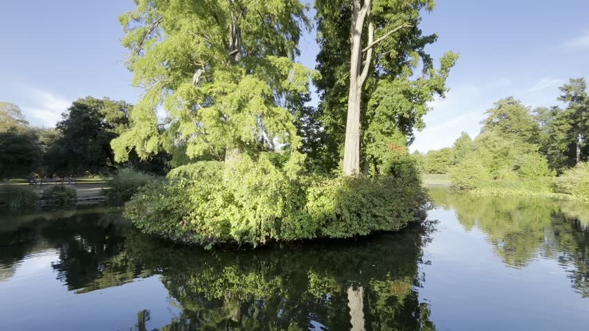 Natural landscape of Forrest and lake