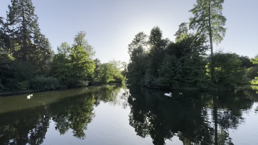 Nature landscape of trees and water