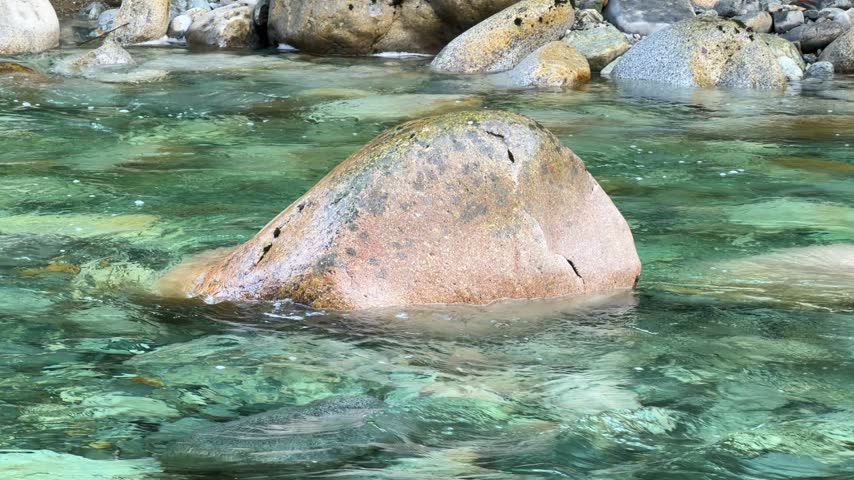 Large smooth boulder in crystal-clear emerald river water at Lynn Canyon in Vancouver, showing a granite rock surrounded by turquoise mountain stream.