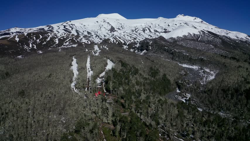 Aerial view of snowy mountains and forest in southern Chile