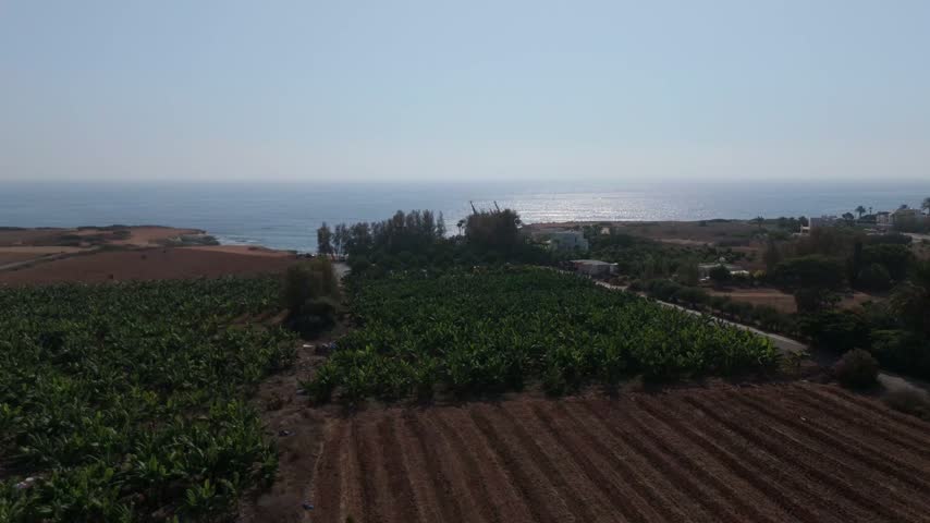 Aerial view of lush banana plantations and agricultural fields stretching towards the Mediterranean Sea in Nicosia, Nicosia, Cyprus.