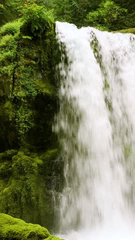 Amazing waterfall and moss covered rocks in Oregon. Vertical video.