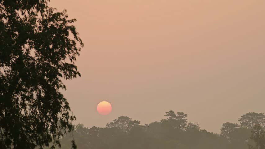 Orange Sunset Over Trees in the Forest, Bright Red Sun Setting in the Orange Sky at Sunset over Trees in the Rainforest in Chitwan National Park in Nepal