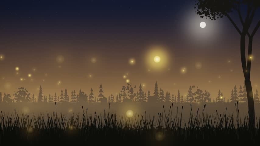 Fireflies glowing over a meadow at the edge of a pine forest, golden evening, seamless loop