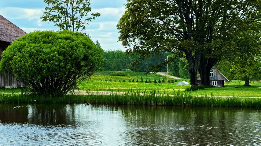 Rural pond landscape with trees, reeds and a wooden cottage in Cesis Latvia.