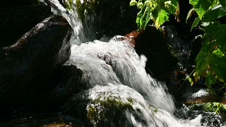 A small forest stream features rapid water cascading over rocks. The close-up static shot captures white foam, moss-covered stones, and high-contrast lighting.