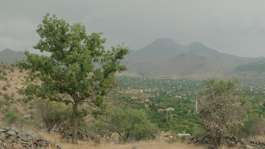 Cinematic landscape view of a village seen from a hillside, framed by a lush green tree in the foreground and Mount Erciyes rising in the background. The scene captures the layered rural landscape and natural beauty of the Kayseri region in Turkiye. Suitable for travel, documentary, nature, landscape and rural lifestyle productions.