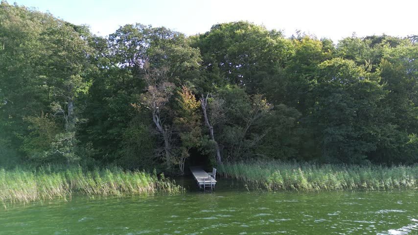 Calm lakeside shoreline with dense green forest, tall reeds, and a small dock or platform at the water’s edge in natural daylight footage