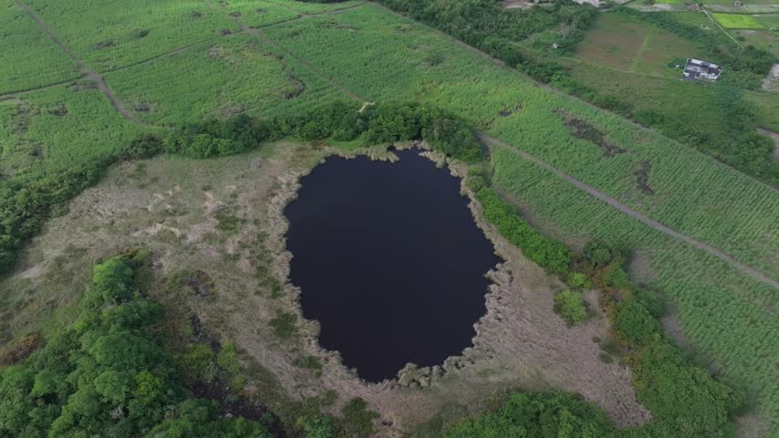 Aerial view of a dark pond surrounded by lush greenery and sugarcane fields in Quatre Cocos, Flacq, Mauritius.