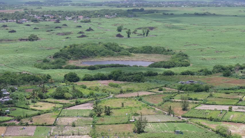 Aerial view of a small pond surrounded by lush green fields and agricultural land in Quatre Cocos, Flacq, Mauritius.