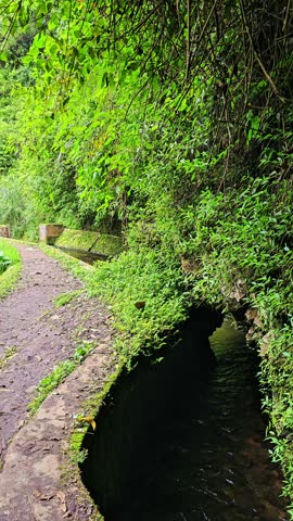 A water channel on the edge of the Ciwangun Indah Camp forest recreation area in West Java, Indonesia, intentionally constructed to divert the flow of a large river
