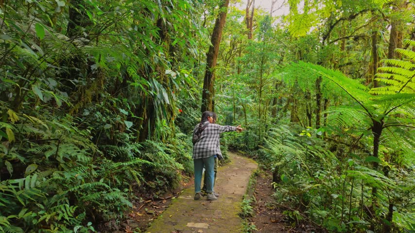 Young female traveler with a backpack stopping on a path to point at something interesting while hiking through a lush, dense, green tropical jungle surrounded by exotic ferns and trees