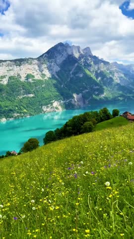 Scenic Alpine Meadow with Wildflowers overlooking Blue Lake and Mountain Range