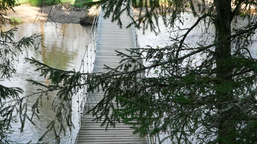 A spruce branch sways in the wind against the backdrop of a suspension bridge over the river