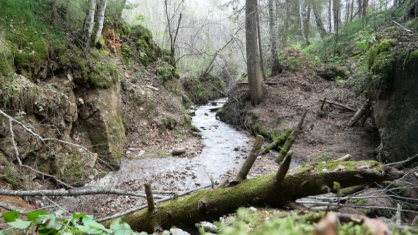 Rushing mountain stream flowing towards the camera
