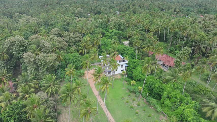 Aerial view of a white house nestled within a lush tropical palm grove in Colombo, Western Province, Sri Lanka.