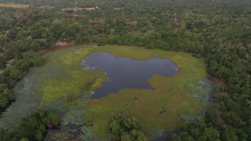 Aerial view of a tranquil lake surrounded by dense tropical forest and lush greenery in Sigiriya, Central Province, Sri Lanka.