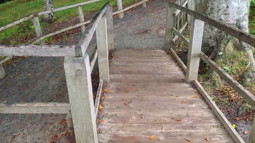 A gravel forest path with weathered wooden railings winds through the beech woods of Jasmund National Park on the island of Ruegen.