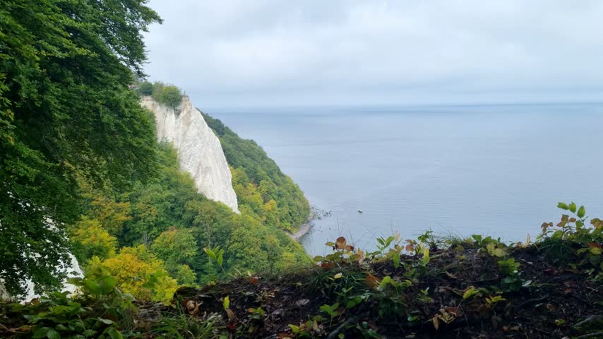 A white chalk cliff rises above the calm Baltic Sea framed by yellowing beech foliage on the Jasmund chalk coast of Ruegen in Germany.