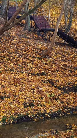 Scenic autumn park landscape small shallow forest river or stream flowing along leaf-covered shore and outdoor terrace staircase on hillside covered by golden yellow fallen leaves. Late fall scenery.