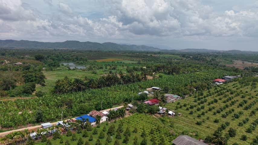 Beautiful aerial perspective of a village surrounded by tropical plantations and layered mountains.