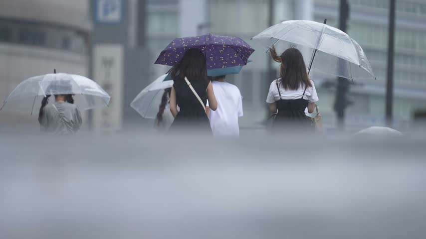 Rear view of people holding umbrellas crossing the street in the rain in Shinjuku, Tokyo, Japan. Clear plastic and patterned umbrellas, city buildings behind.