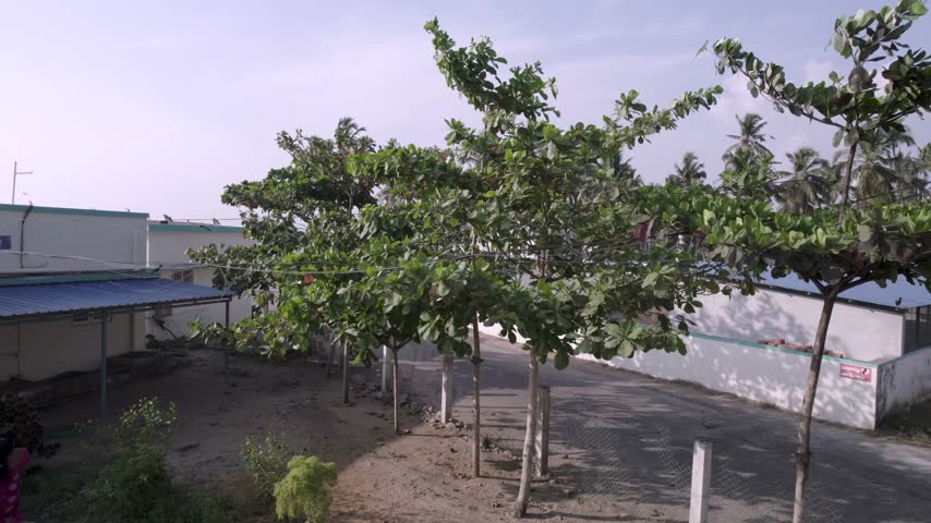 Coastal Fishing Village and Harbour in Tamil Nadu, India