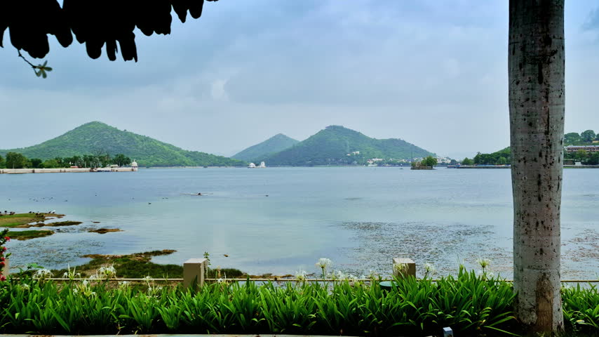 A palm trunk and overhanging leaves frame a broad lake and green hills beneath a cloudy sky in Udaipur.