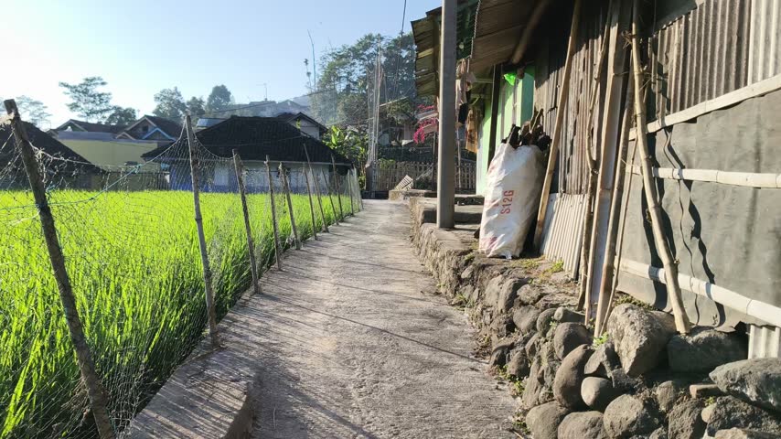 Narrow path between traditional village houses and green rice field