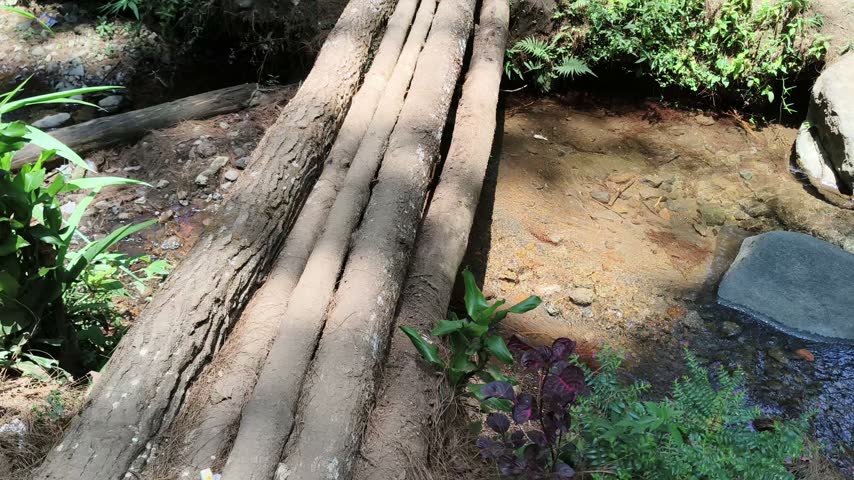 Wooden log bridge over a small river stream