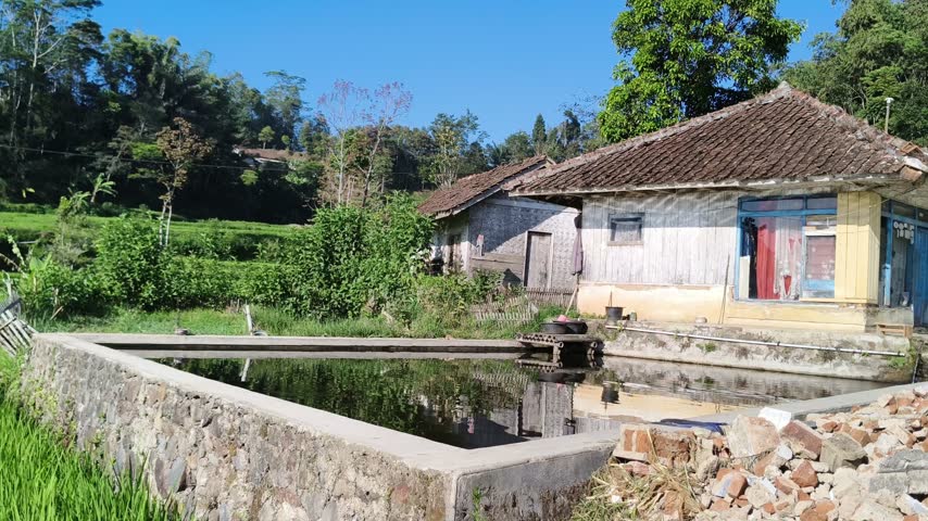 Traditional rural house with a water pool and green fields in a village farm