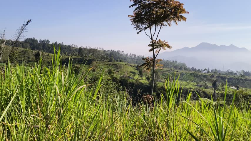 Scenic mountain landscape with green grass fields and morning fog in a rural highland