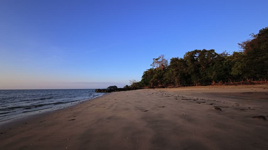 A deserted sandy beach on a tropical island has a wide shoreline, calm sea and dense tropical forest beside the sand. Coastal trees and jungle vegetation line the empty beach, with exposed rocks near the water. Small waves reach wet sand on this wild beach with no buildings or people visible. This ocean view shows a secluded shoreline, rocky coast and forest on the island in Thailand, Southeast Asia.