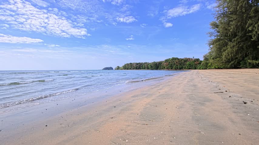 Tropical forest and jungle vegetation cover an island landscape, with a palm tree in the foreground and tall trees rising above dense grasses. Banana plants, shrubs and woodland fill the clearing beneath a partly cloudy blue sky. Sunlight shines through the trees across the tropical undergrowth. Palm trees and tropical plants surround a grassy forest clearing on this island in Thailand, Southeast Asia.
