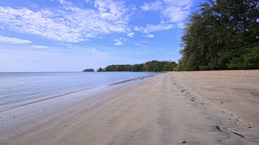 Tropical forest and jungle vegetation cover an island landscape, with a palm tree in the foreground and tall trees rising above dense grasses. Banana plants, shrubs and woodland fill the clearing beneath a partly cloudy blue sky. Sunlight shines through the trees across the tropical undergrowth. Palm trees and tropical plants surround a grassy forest clearing on this island in Thailand, Southeast Asia.