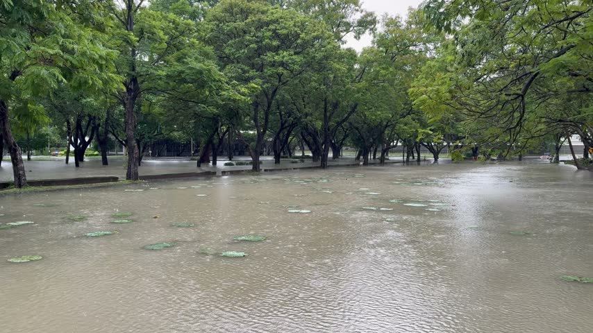 Left panning shot of a large pond and flooded park during rainfall.