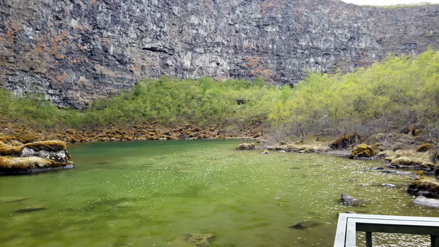 Botnstjorn pond at the head of Asbyrgi canyon, Iceland, green water and mossy rocks below high basalt cliffs and birch trees, in Vatnajokull National Park.