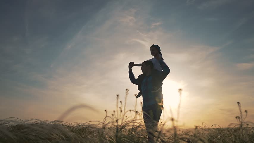 Parent walking in field with child. Boy sitting high on dad shoulders. Father and son playing in sunset light. Kid enjoying walk with father in nature. Child and dad walking through grass together