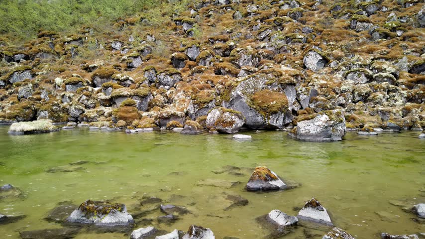 Moss-covered rocks along the shore of Botnstjorn, a clear green pond in Asbyrgi canyon, Vatnajokull National Park, Iceland.