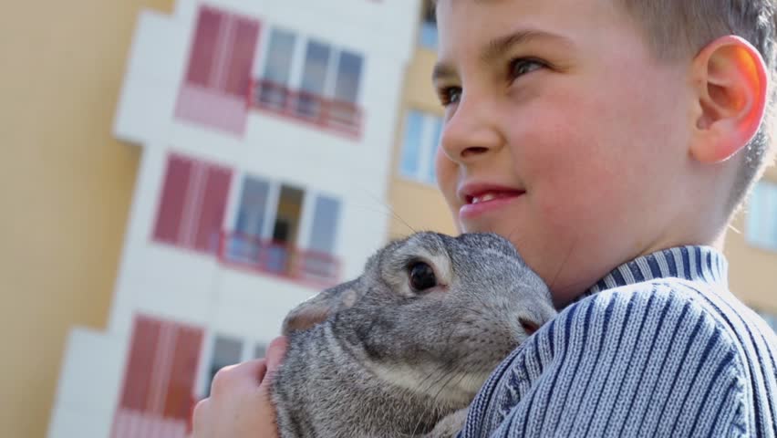 Young boy smiles and pats rabbit in hand near dwelling house