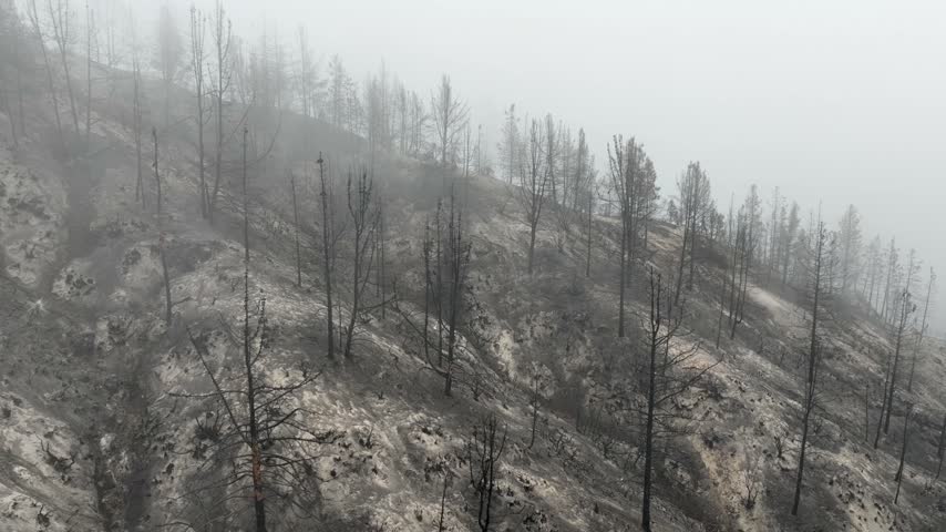 Aerial of a burnt mountainside from a recent wildfire. Near Los Angeles California.