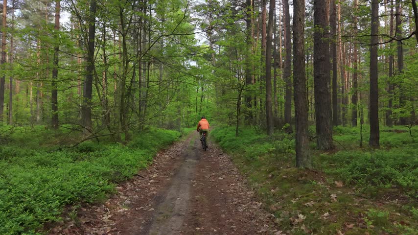 Outdoor cyclist enjoying nature trail in spring forest