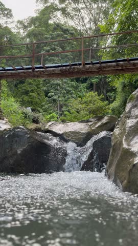 Wooden Bridge Over Rushing Forest Stream