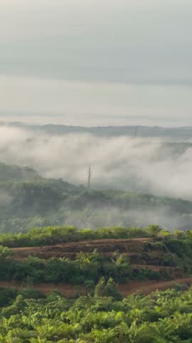 Misty Fog Rolling Over Lush Green Hills