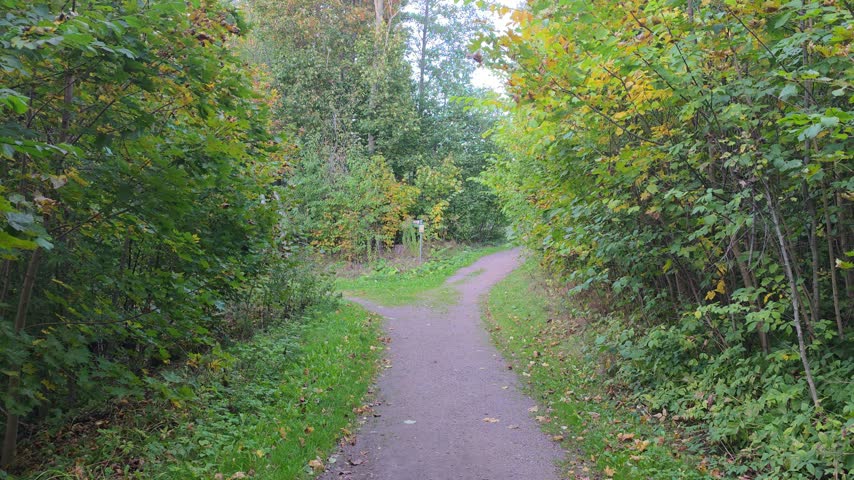 Smooth tracking shot of a fork in a gravel walking path through a lush autumn forest park

