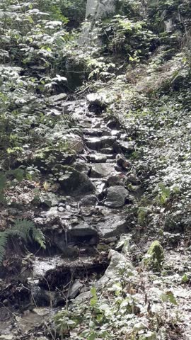 small forest stream between stones in the mountain