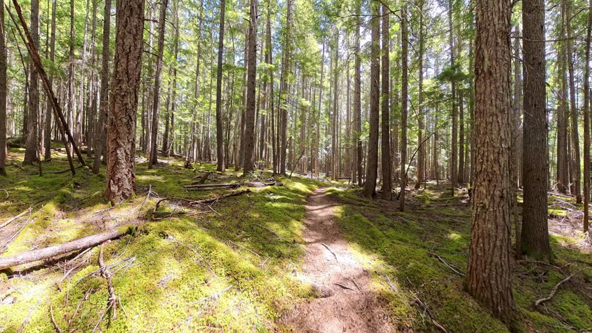 Approaching Junction with Fisher Creek in North Cascades National Park