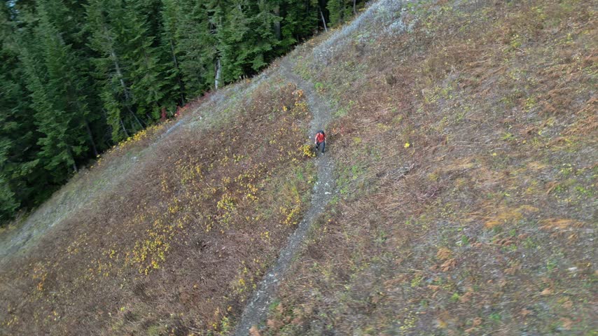 Aerial view of a lone hiker following a narrow trail across an open alpine slope above a forested mountain lake near Mount MacFarlane, British Columbia.