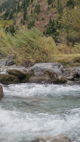 Turbulent mountain stream splashing against mossy boulders in the foreground. Beautiful yellow and orange autumn foliage covers the background hillside